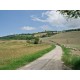 Properties for Sale_Farmhouses to restore_COUNTRY HOUSE TO RESTORE FOR SALE IN MARCHE Farmhouse with land in Italy in Le Marche_12